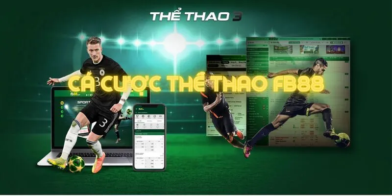 thể thao fb88 câu hỏi