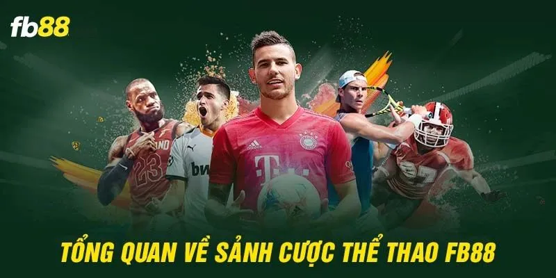 thể thao fb88 trải nghiệm