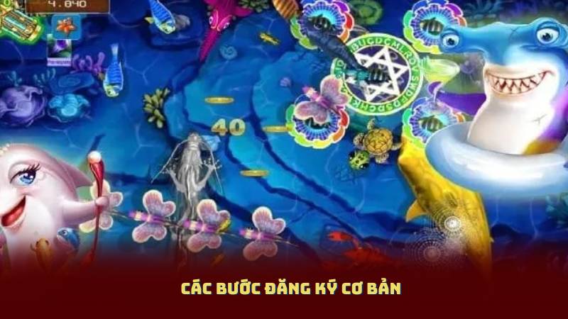 Các bước đăng ký cơ bản